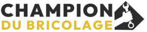 Logo du site Champion du Bricolage